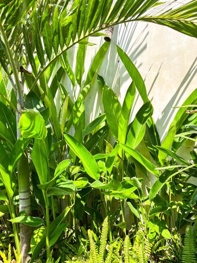 Las Flores Lombok Kuta  Exteriör bild